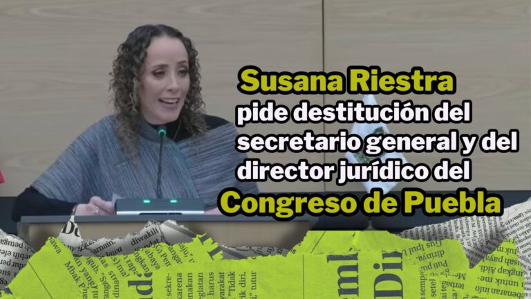 Plantilla NPI Noticias 2024