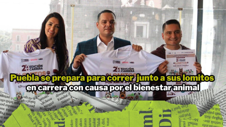 NPI noticias 2026