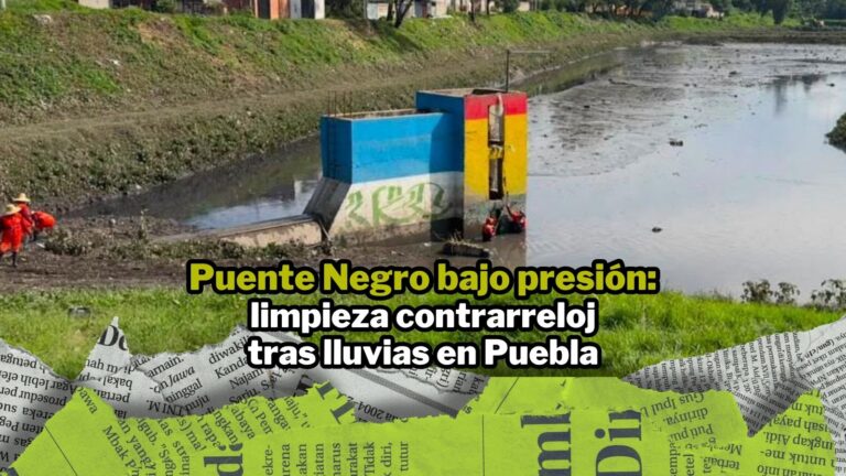 NPI noticias 2026
