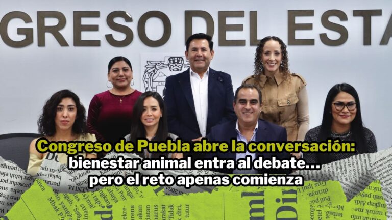 NPI noticias 2026