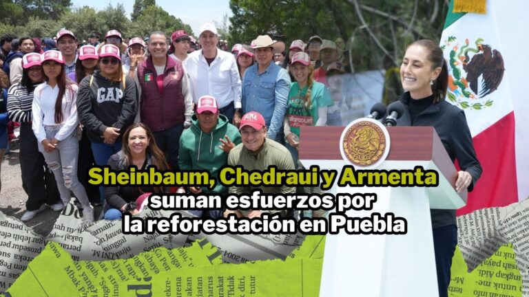 NPI noticias 2026