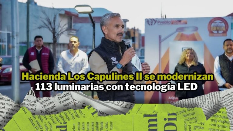 NPI noticias 2026