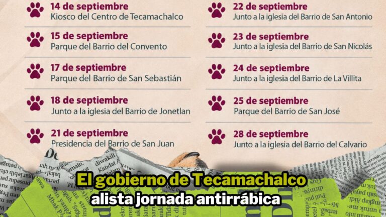 NPI noticias 2026 (13)