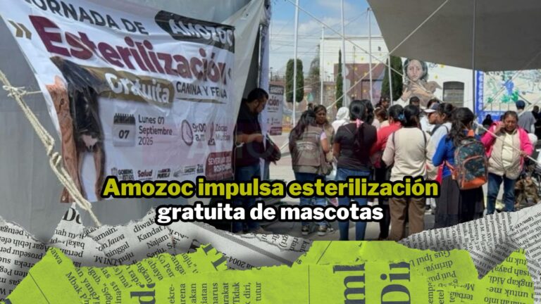 NPI noticias 2026 (2)