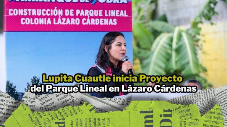 NPI noticias 2026 (3)
