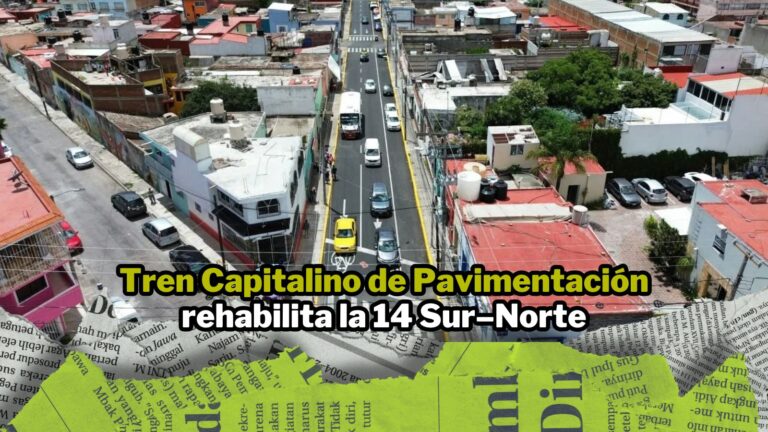 NPI noticias 2026