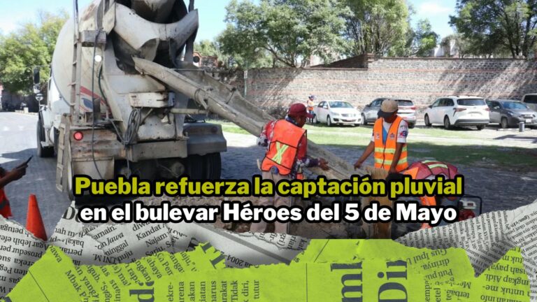NPI noticias 2026