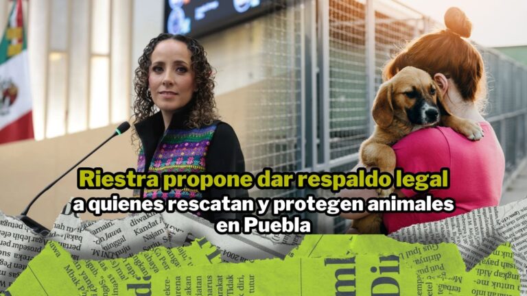 NPI noticias 2026